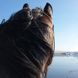 Meet your Posher, Jodi